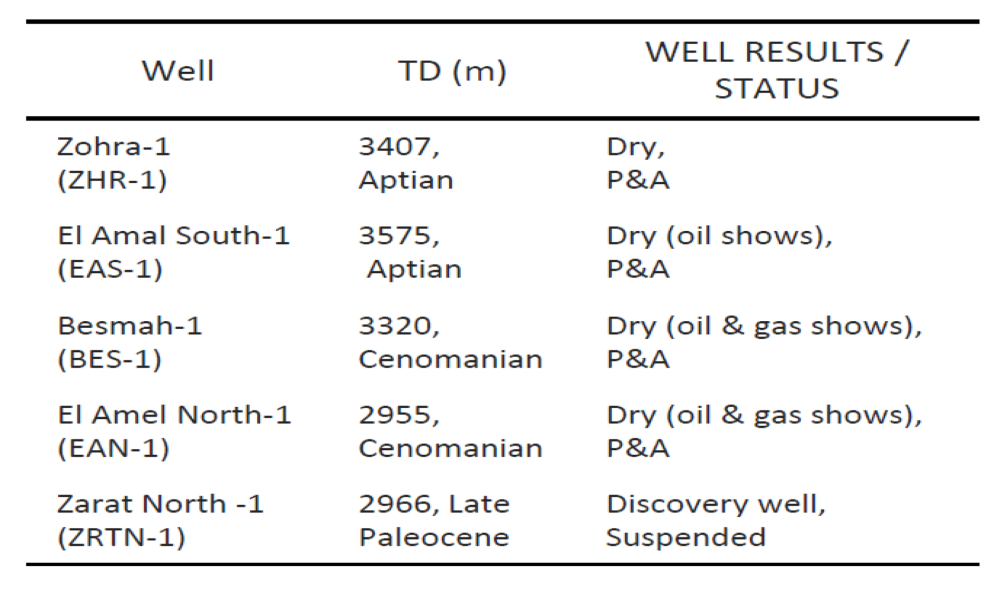 Joint Oil Block exploration well results